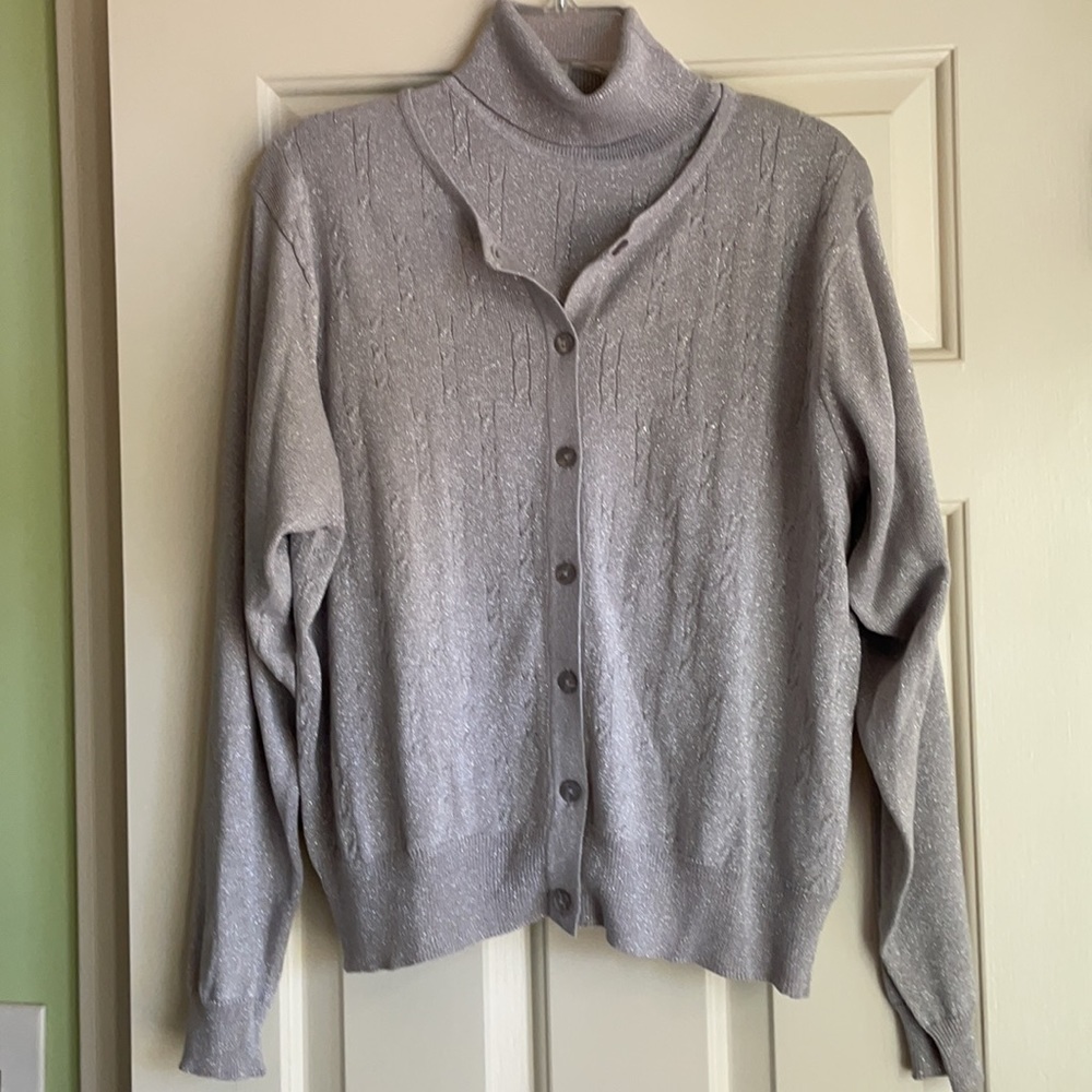 Silver sparkle twin set